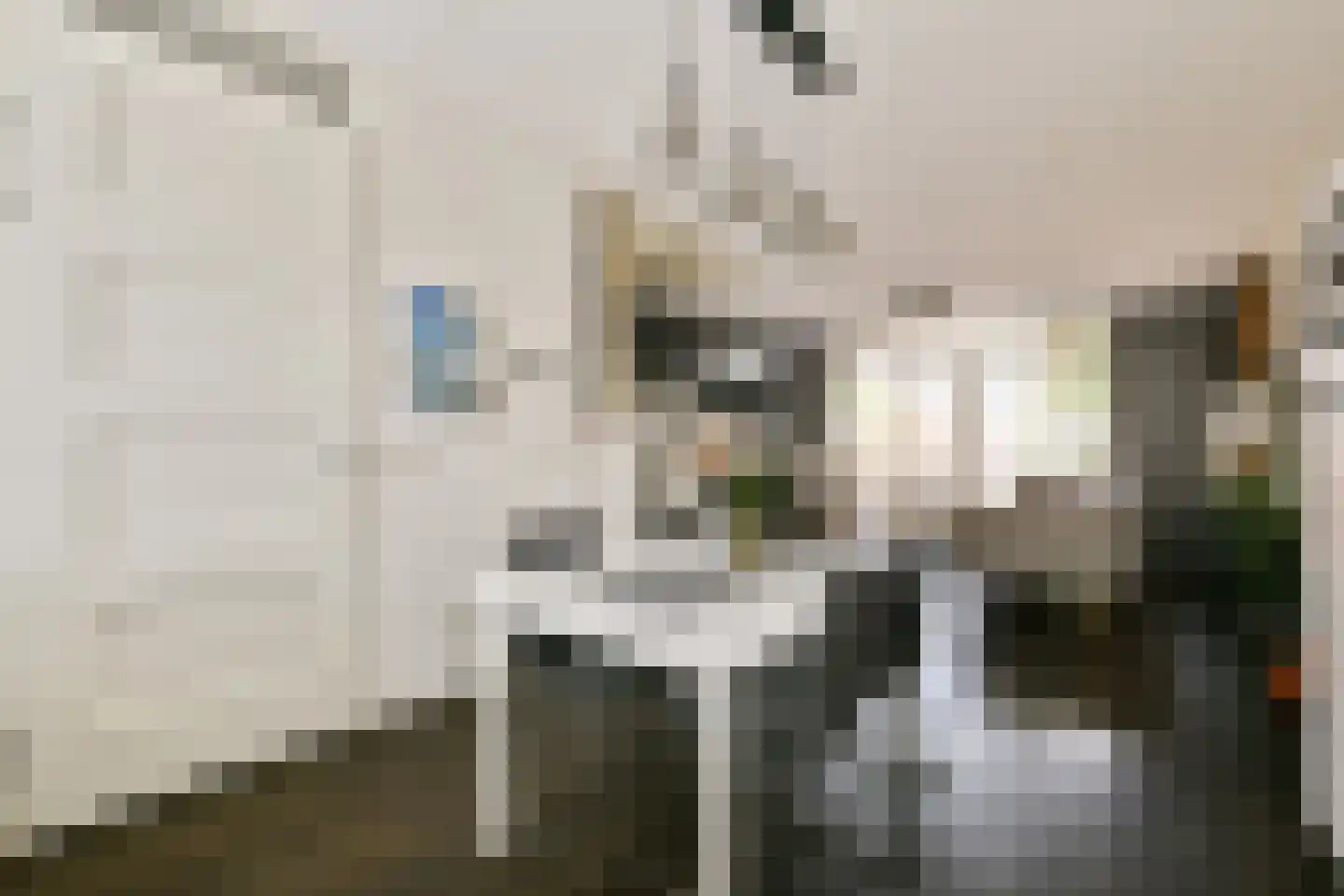Karperstraat 49 Aalsmeer thumbnail 13