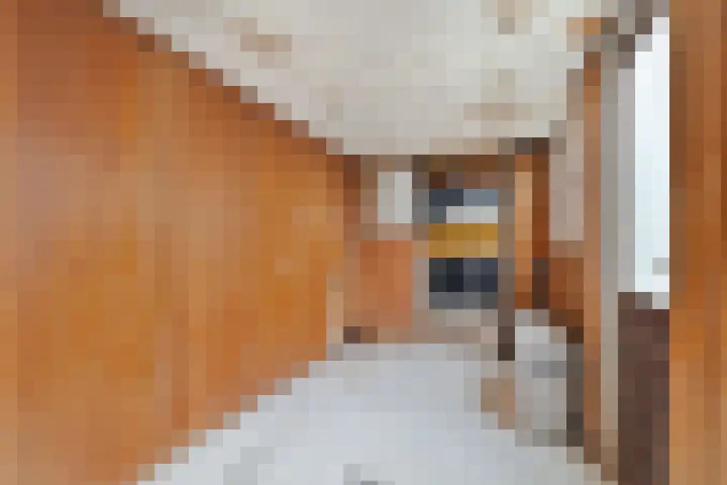 Karperstraat 5 Utrecht thumbnail 15