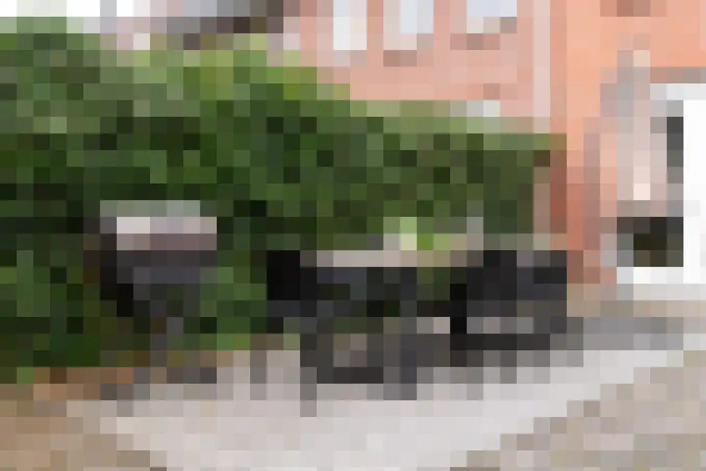 Karperstraat 50 Aalsmeer thumbnail 17