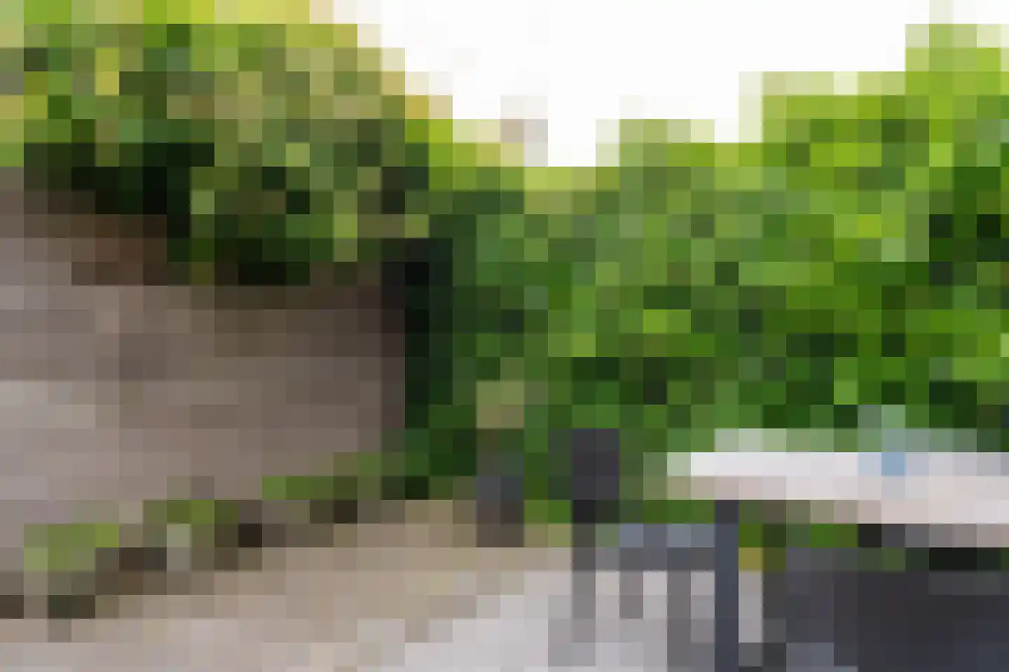 Karperstraat 50 Aalsmeer thumbnail 19