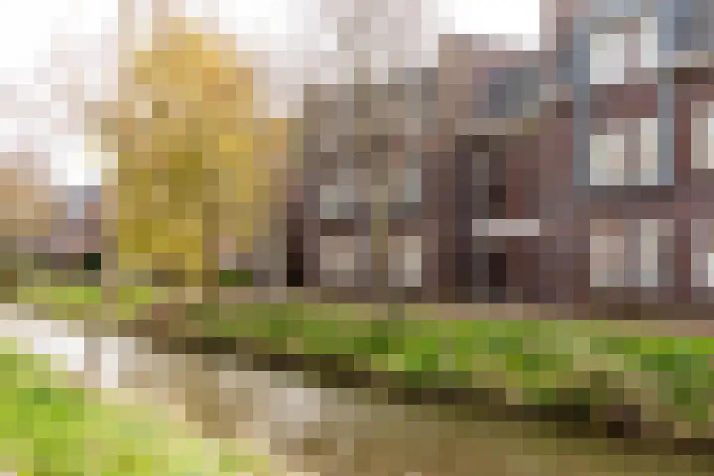 Karperstraat 50 Aalsmeer thumbnail 33