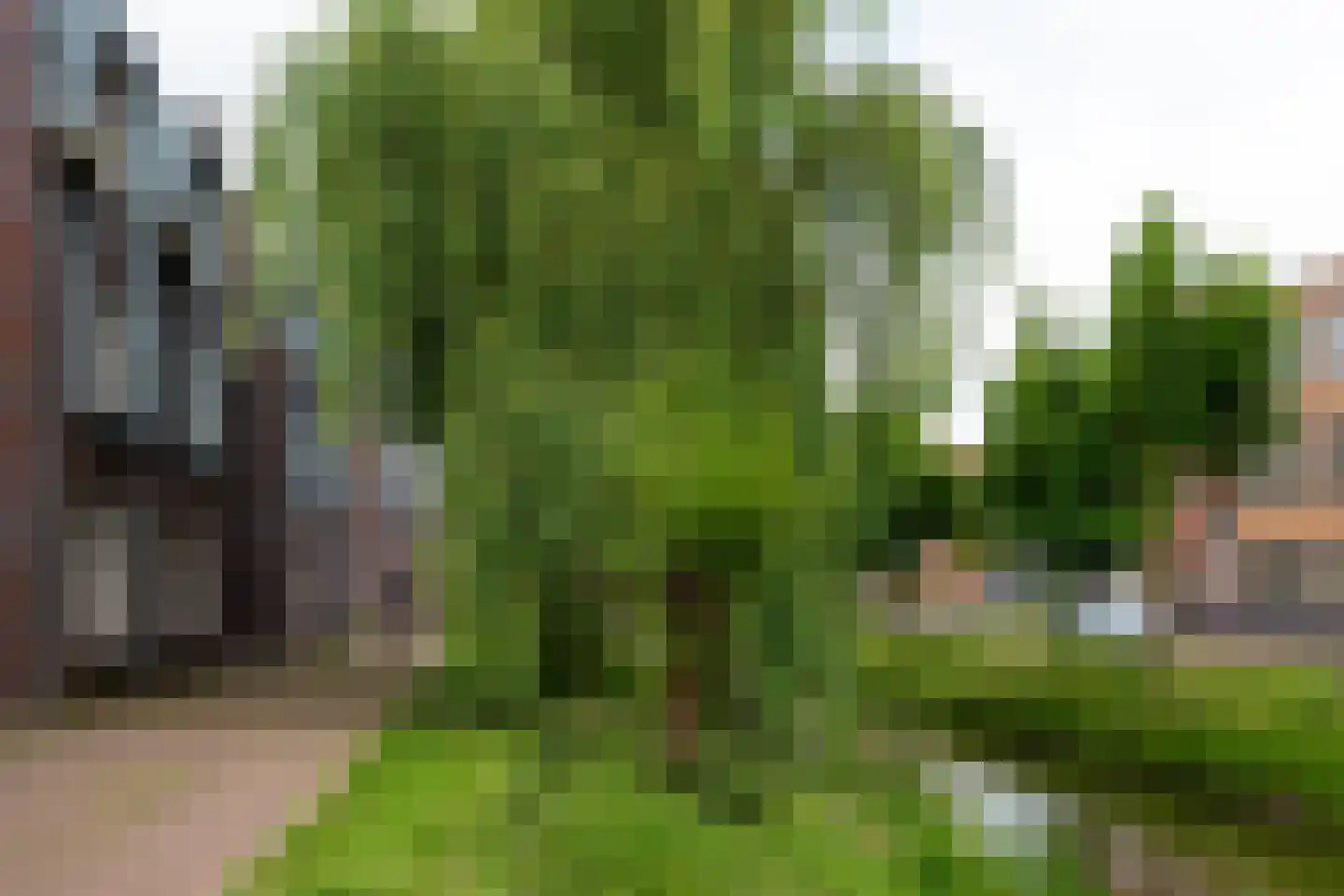 Karperstraat 50 Aalsmeer thumbnail 34