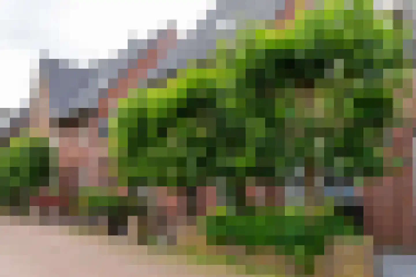 Karperstraat 50 Aalsmeer thumbnail 36