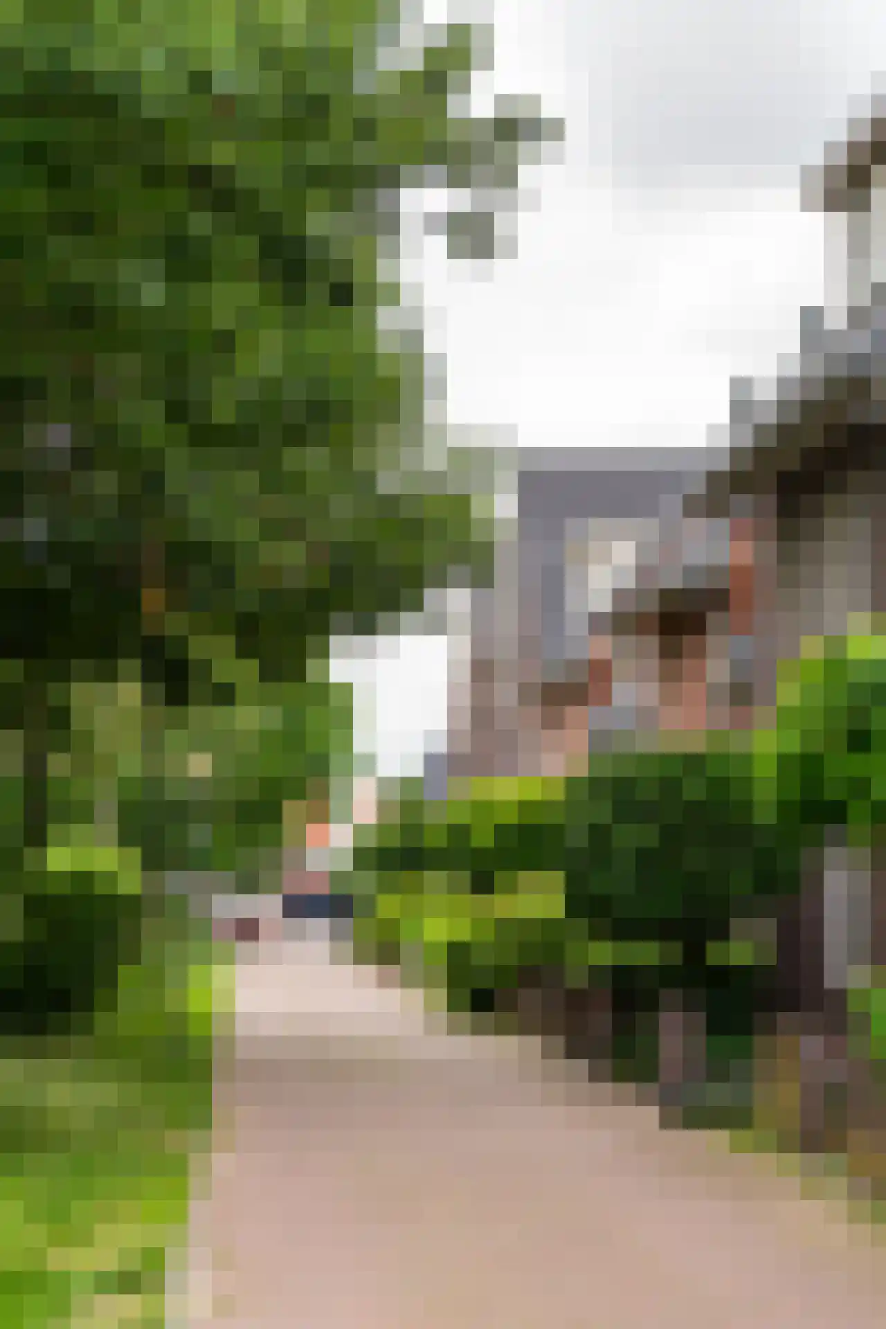 Karperstraat 50 Aalsmeer thumbnail 39