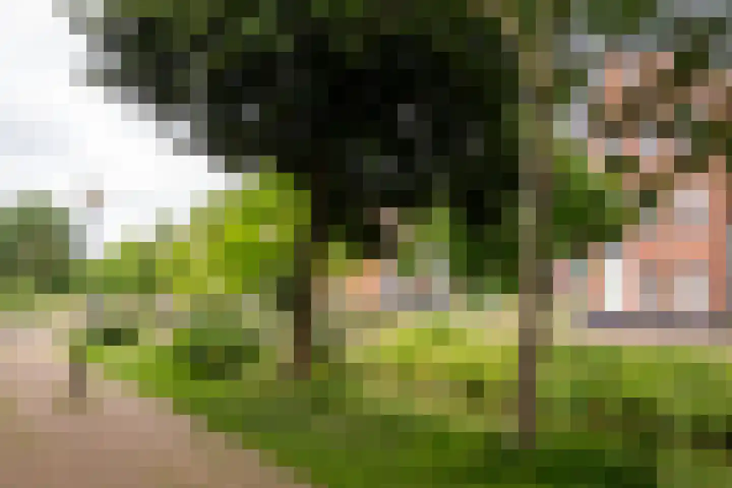 Karperstraat 50 Aalsmeer thumbnail 41