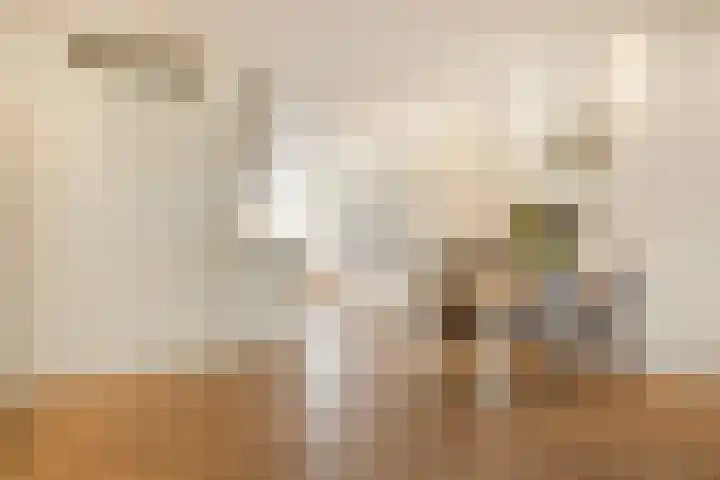 Karperstraat 63 Arnhem thumbnail 7