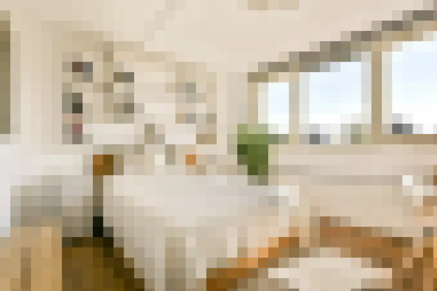 Karperstraat 81 Aalsmeer thumbnail 18