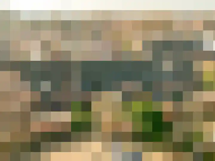 Karperveen 155 Spijkenisse thumbnail 23