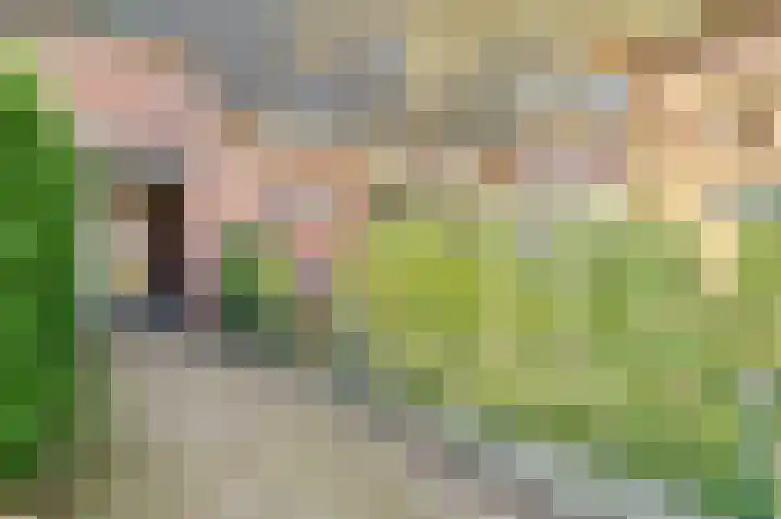 Karperveen 155 Spijkenisse thumbnail 6