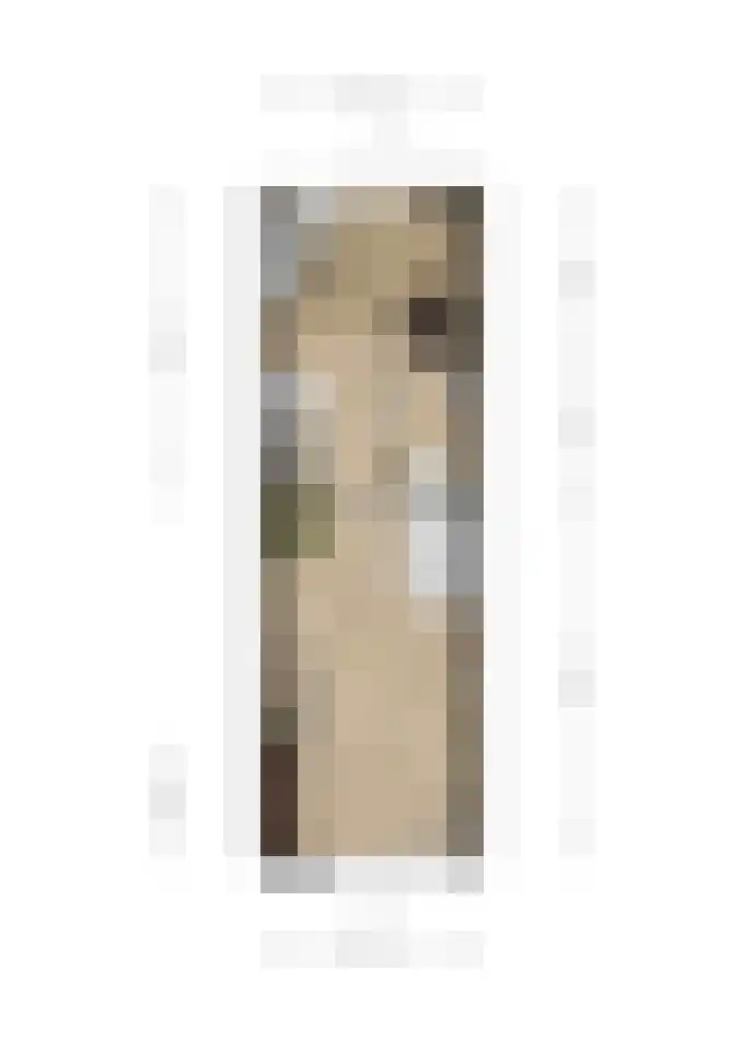 Karperveen 155 Spijkenisse thumbnail 7