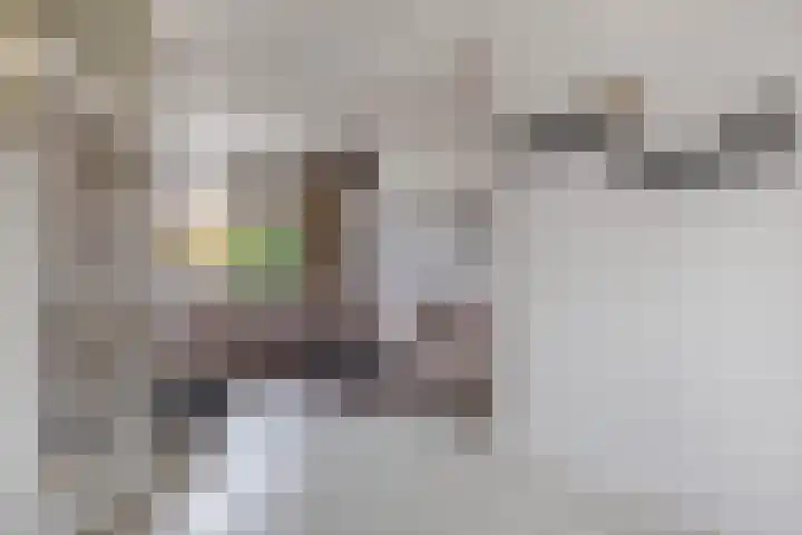 Karperveen 159 Spijkenisse thumbnail 12