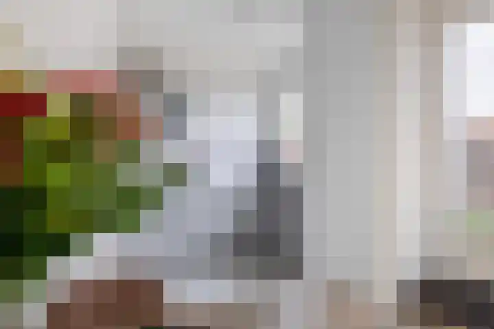 Karperveen 159 Spijkenisse thumbnail 18