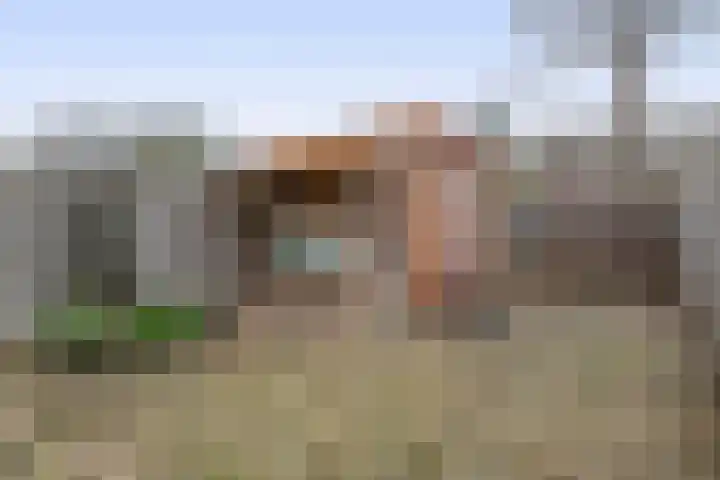 Karperveen 159 Spijkenisse thumbnail 25