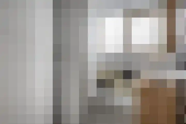 Karperveen 159 Spijkenisse thumbnail 30