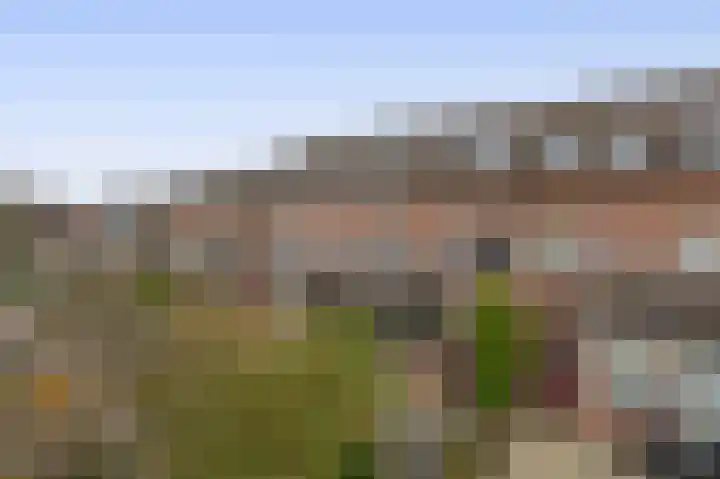 Karperveen 159 Spijkenisse thumbnail 5