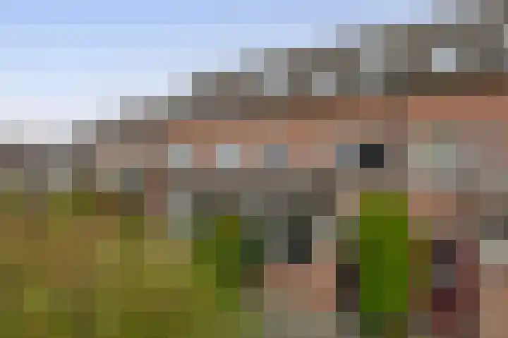 Karperveen 159 Spijkenisse thumbnail 6