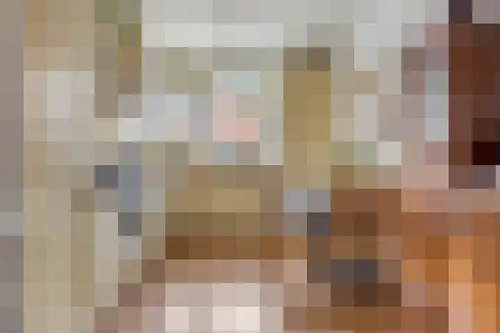Karperveen 209 Spijkenisse thumbnail 13