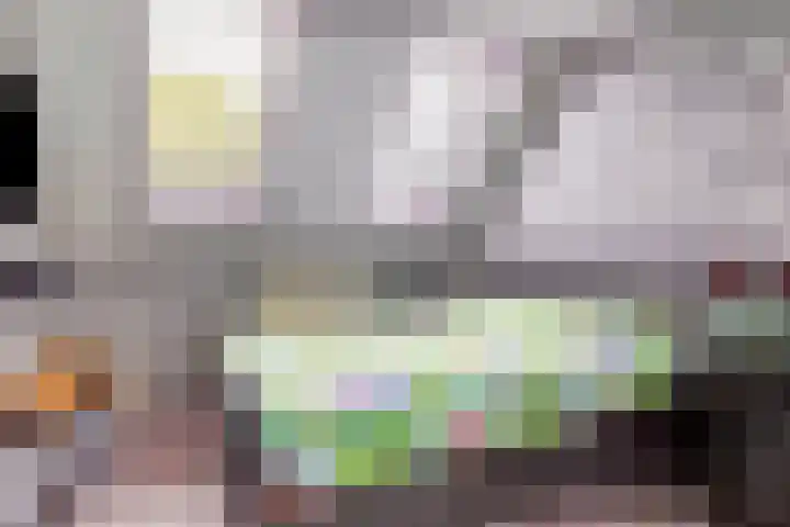 Karperveen 209 Spijkenisse thumbnail 18