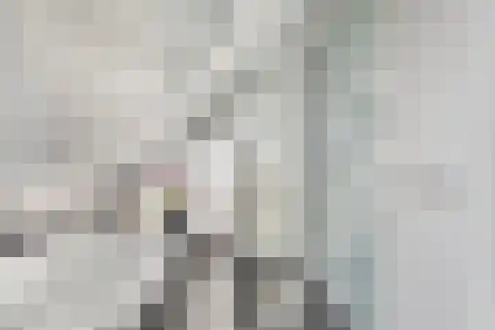 Karperveen 209 Spijkenisse thumbnail 21