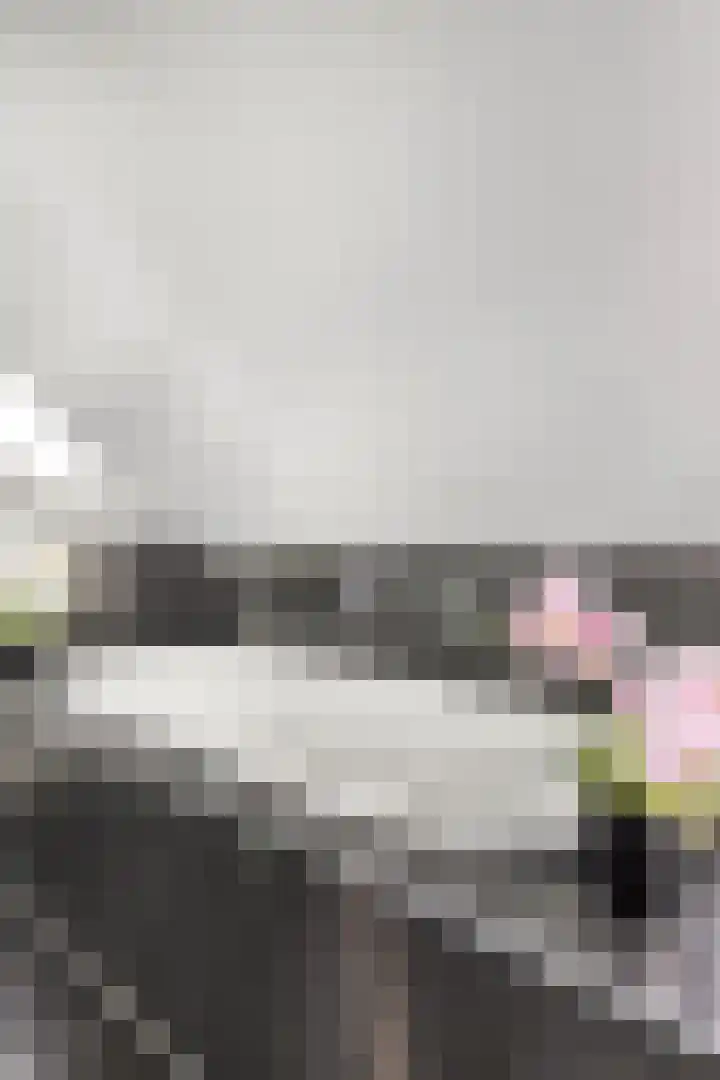 Karperveen 209 Spijkenisse thumbnail 24