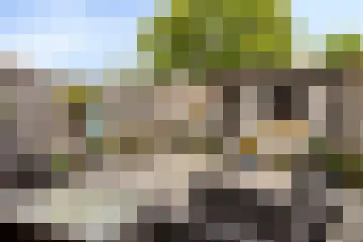 Karperveen 209 Spijkenisse thumbnail 29