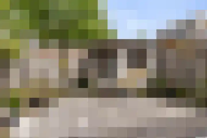 Karperveen 209 Spijkenisse thumbnail 30