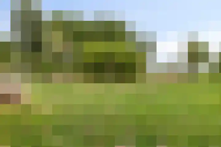 Karperveen 209 Spijkenisse thumbnail 33