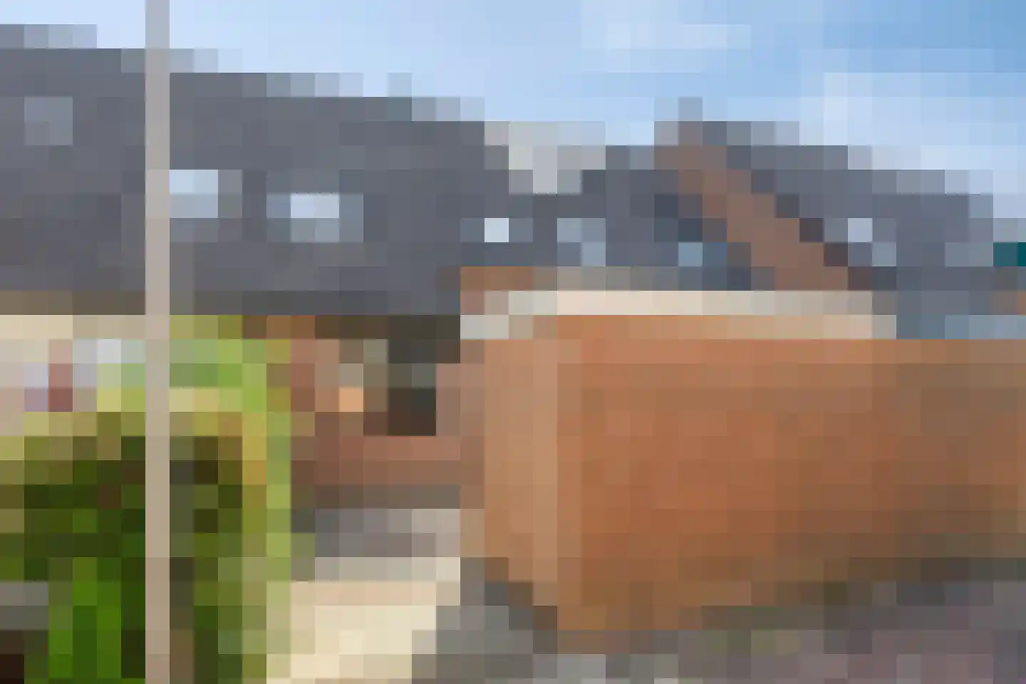 Karperveen 240 in Spijkenisse
