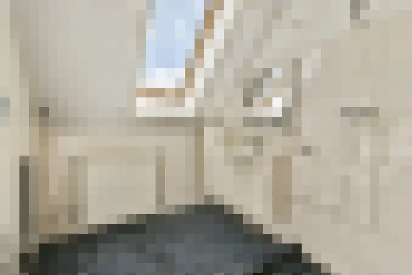 Karperveen 252 Spijkenisse thumbnail 4