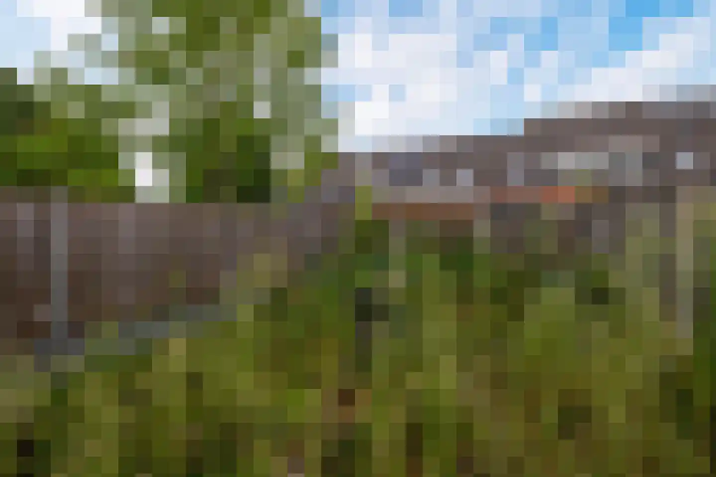 Karperveen 306 Spijkenisse thumbnail 17