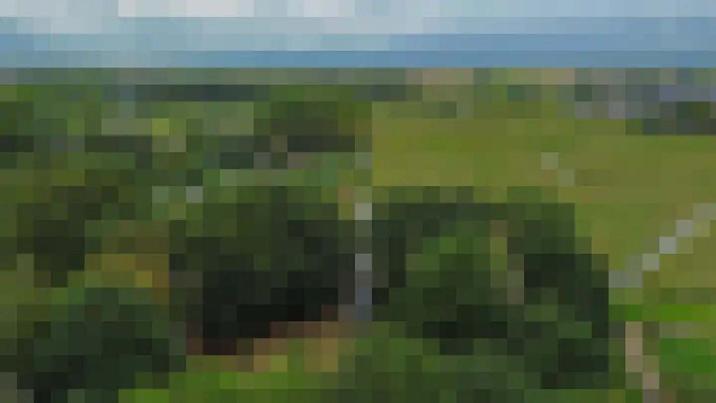 Karperveen 306 Spijkenisse thumbnail 30
