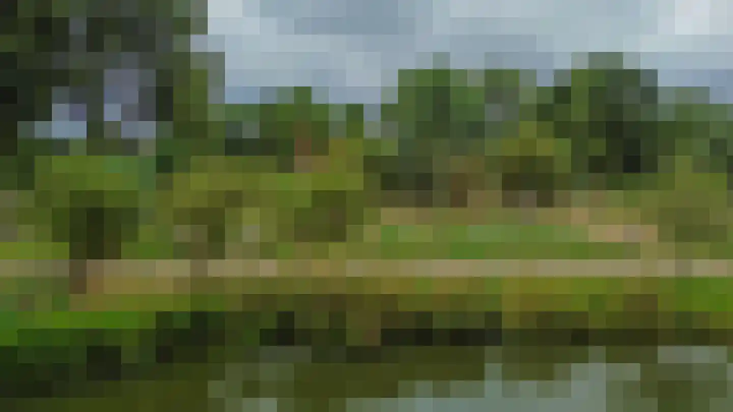 Karperveen 306 Spijkenisse thumbnail 4