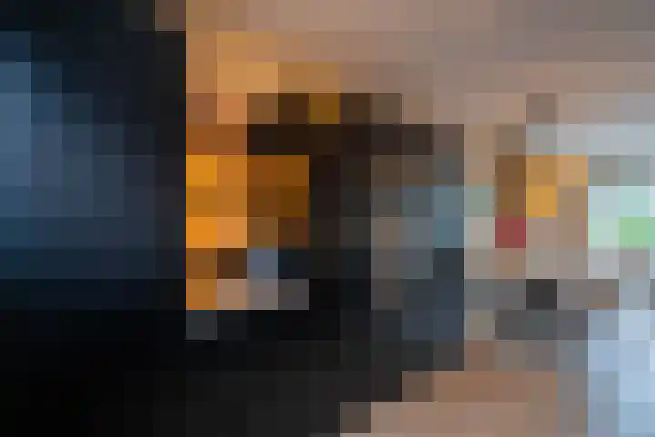 Karperveen 325 Spijkenisse thumbnail 15