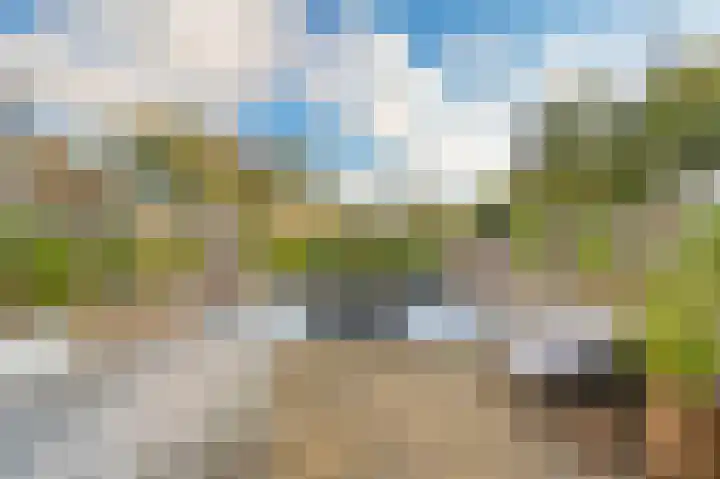 Karperveen 325 Spijkenisse thumbnail 16