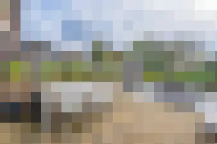 Karperveen 325 Spijkenisse thumbnail 18