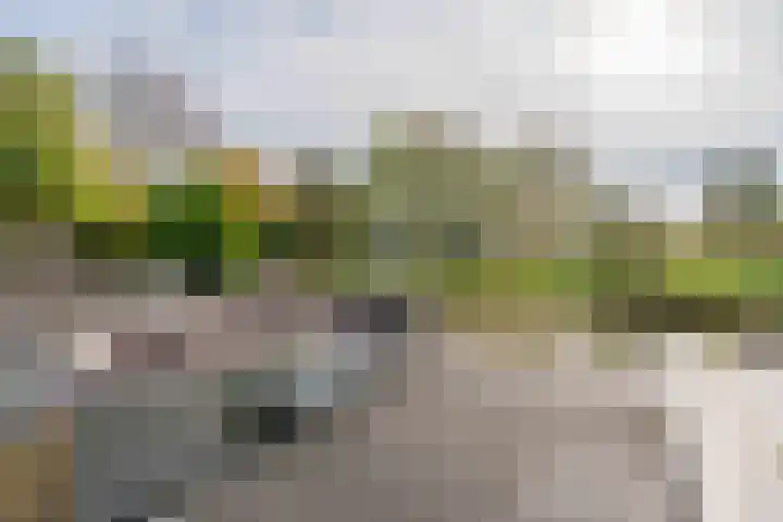 Karperveen 325 Spijkenisse thumbnail 19