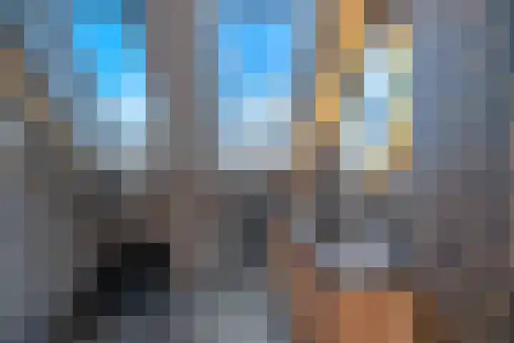 Karperveen 325 Spijkenisse thumbnail 27