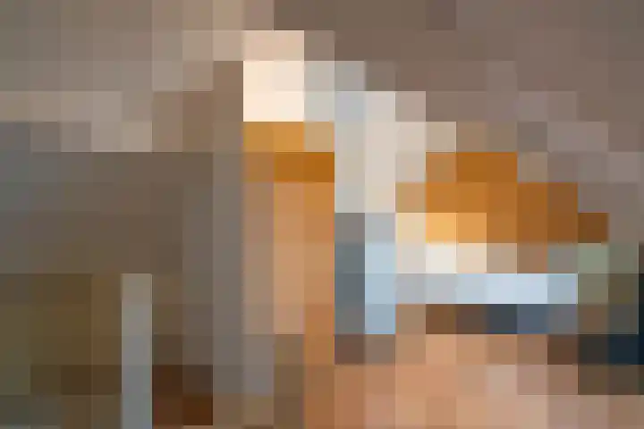 Karperveen 325 Spijkenisse thumbnail 32