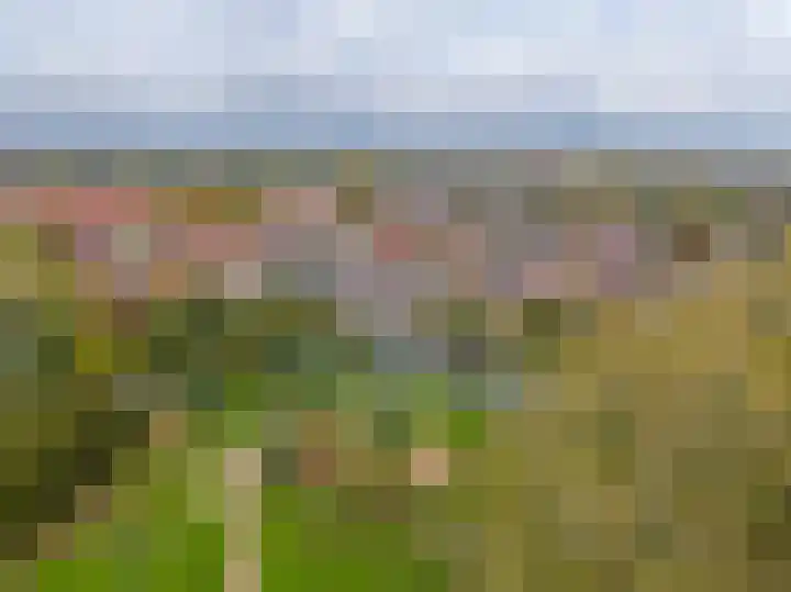 Karperveen 325 Spijkenisse thumbnail 34