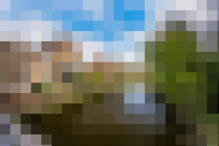 Karperveen 325 Spijkenisse thumbnail 35