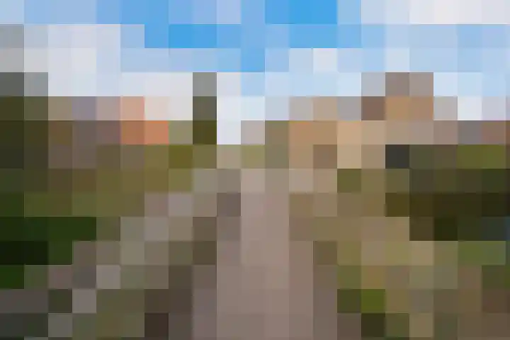 Karperveen 325 Spijkenisse thumbnail 36