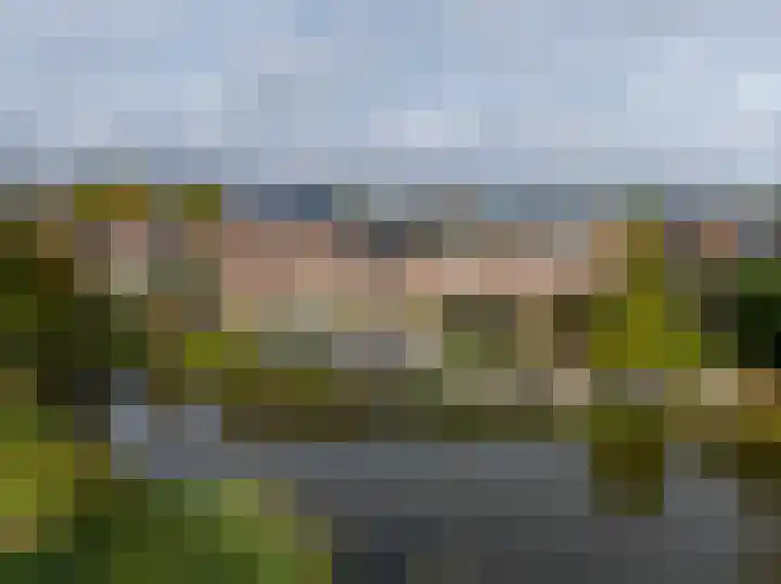 Karperveen 325 Spijkenisse thumbnail 4