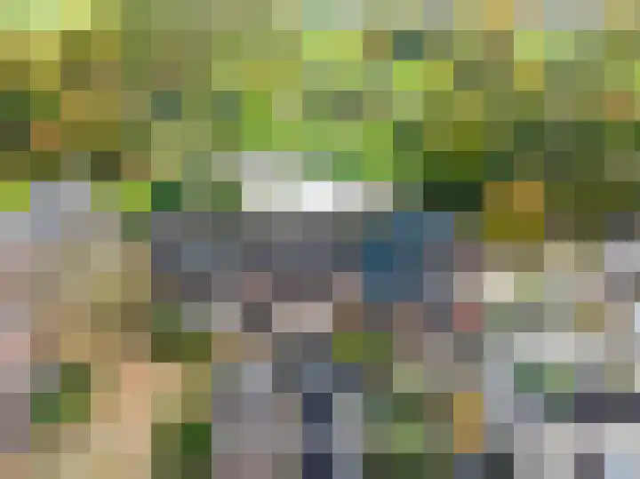Karperveen 325 Spijkenisse thumbnail 6