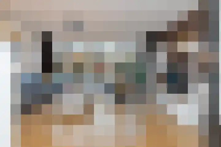 Karperveen 433 Spijkenisse thumbnail 12