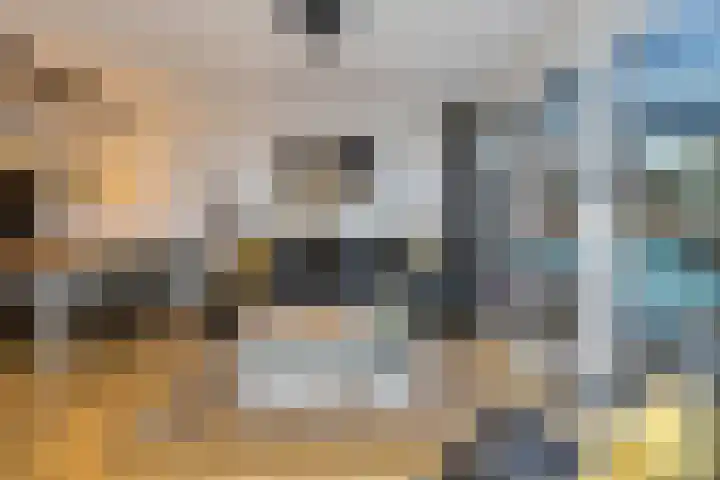 Karperveen 433 Spijkenisse thumbnail 14