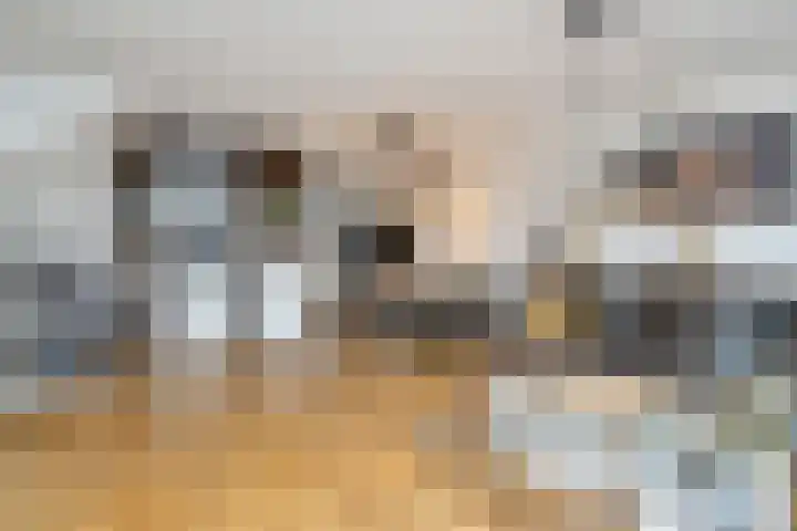 Karperveen 433 Spijkenisse thumbnail 15