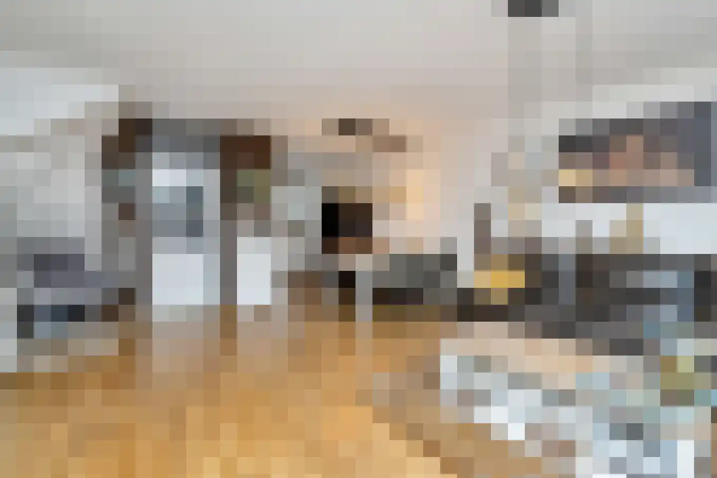 Karperveen 433 Spijkenisse thumbnail 15