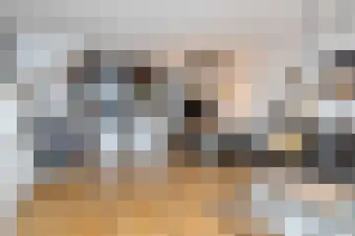 Karperveen 433 Spijkenisse thumbnail 16
