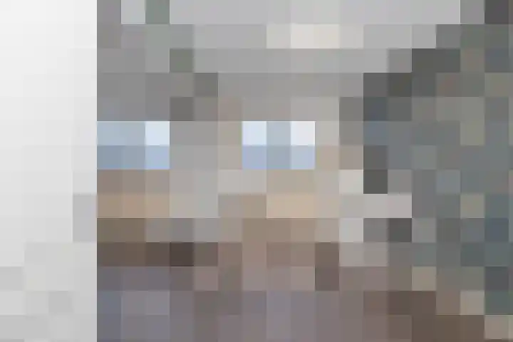 Karperveen 433 Spijkenisse thumbnail 27