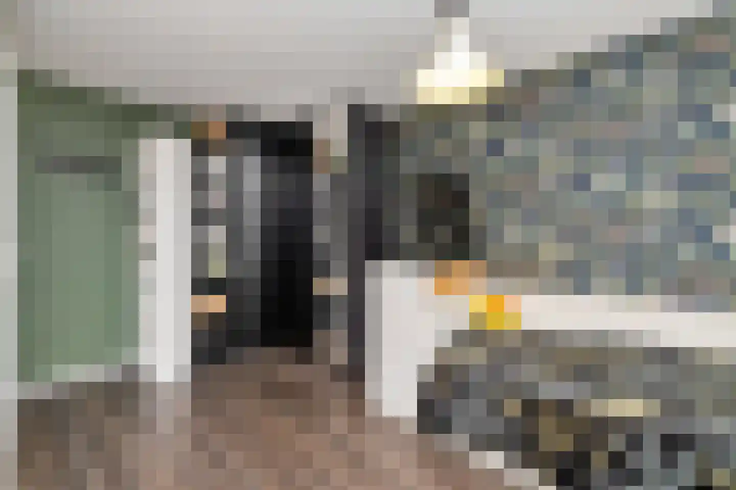 Karperveen 433 Spijkenisse thumbnail 31